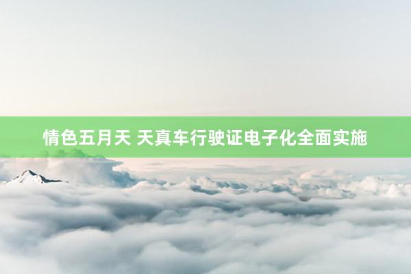 情色五月天 天真车行驶证电子化全面实施
