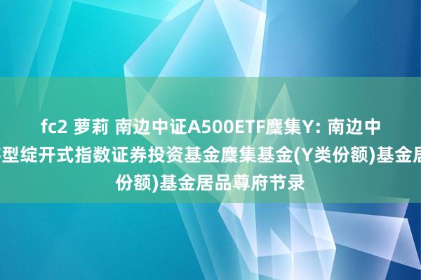 fc2 萝莉 南边中证A500ETF麇集Y: 南边中证A500交游型绽开式指数证券投资基金麇集基金(Y类份额)基金居品尊府节录