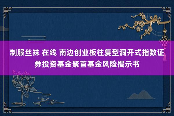 制服丝袜 在线 南边创业板往复型洞开式指数证券投资基金聚首基金风险揭示书