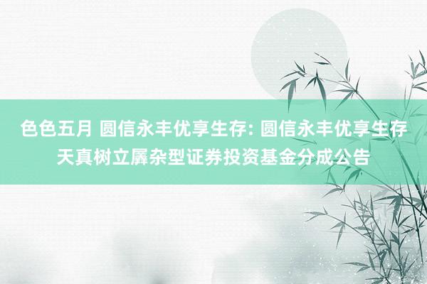 色色五月 圆信永丰优享生存: 圆信永丰优享生存天真树立羼杂型证券投资基金分成公告