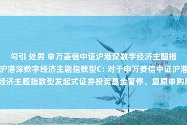 勾引 处男 申万菱信中证沪港深数字经济主题指数型A,申万菱信中证沪港深数字经济主题指数型C: 对于申万菱信中证沪港深数字经济主题指数型发起式证券投资基金暂停、复原申购赎回、治疗及按时定额投资的公告