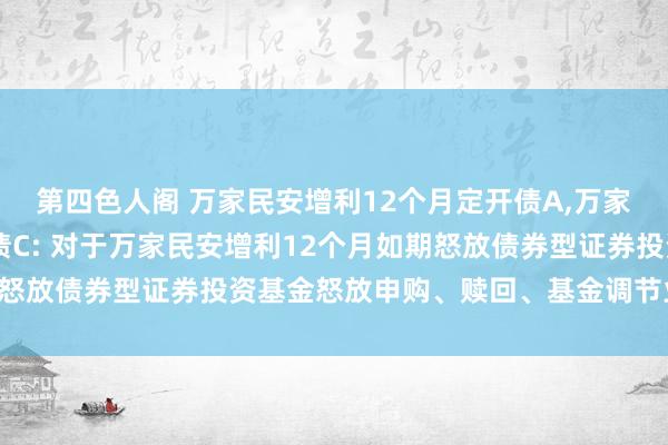 第四色人阁 万家民安增利12个月定开债A,万家民安增利12个月定开债C: 对于万家民安增利12个月如期怒放债券型证券投资基金怒放申购、赎回、基金调节业务的公告