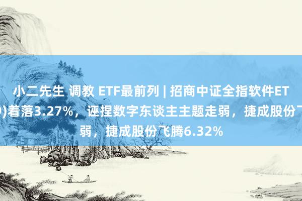 小二先生 调教 ETF最前列 | 招商中证全指软件ETF(159899)着落3.27%,诬捏数字东谈主主题走弱,捷成股份飞腾6.32%