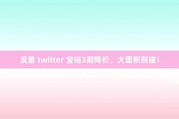 反差 twitter 宝裕3期降价,大面积别碰!